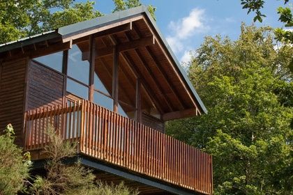 Deerpark Forest in Liskeard, Cornwall