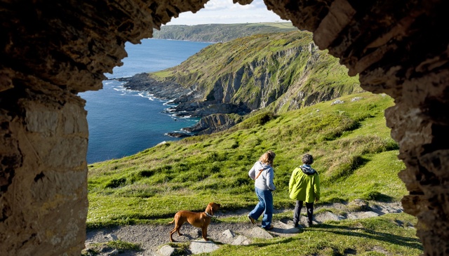 Dog-Friendly Holiday Parks Cornwall 
