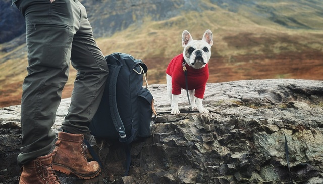 Dog-Friendly Short Breaks