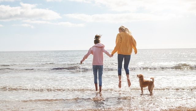 The UK’s Best Dog-Friendly Holiday Destinations
