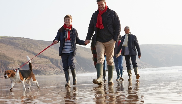 The Top 10 Dog-Friendly Walks in the UK