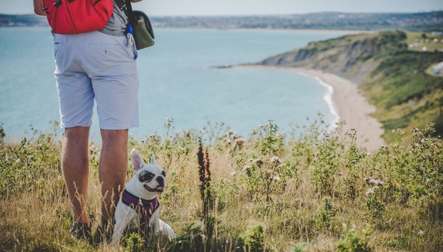 Dog-friendly holidays England