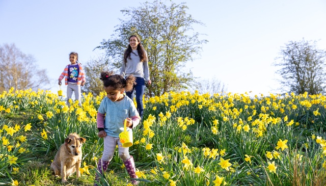 Easter Holiday Parks 