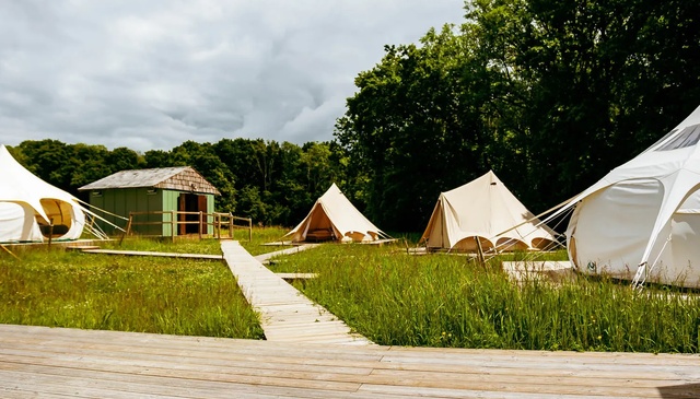 Glamping Sussex 