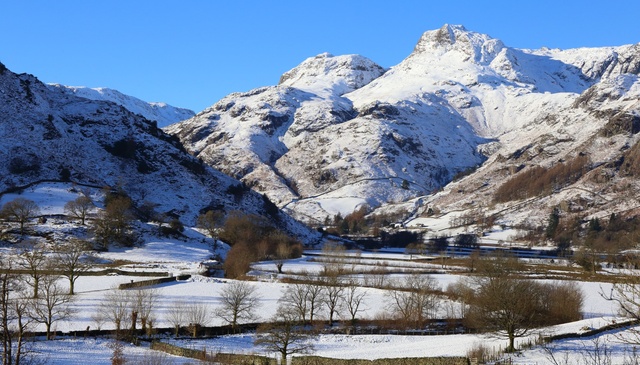 Christmas Holiday Parks 