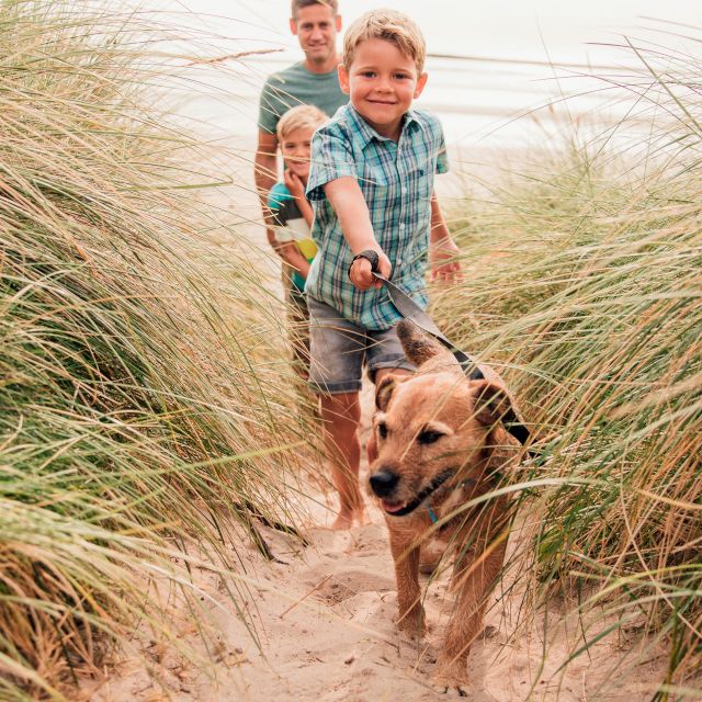 Dog-Friendly Holiday Parks