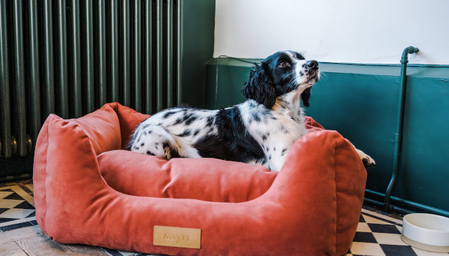 Dog-Friendly Gloucestershire Cottages
