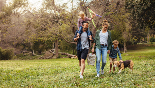 Cornwall Family Holidays