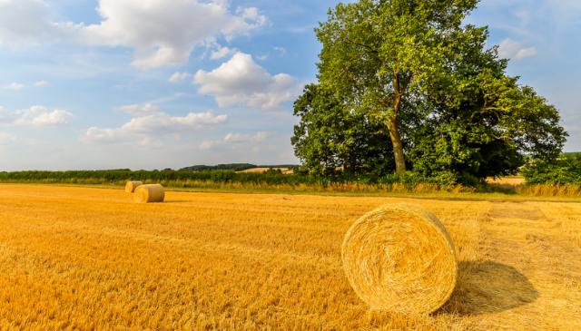 Farm Stays in Cornwall