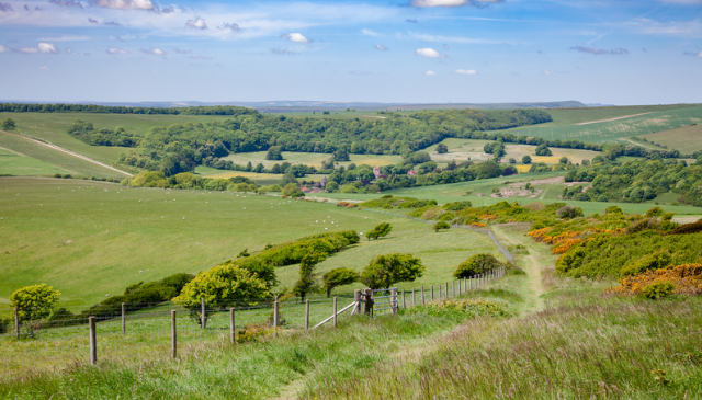 Sussex Holiday Parks