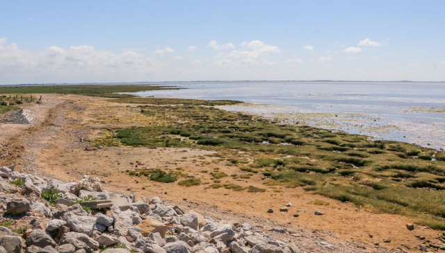 Coastal Holiday Parks