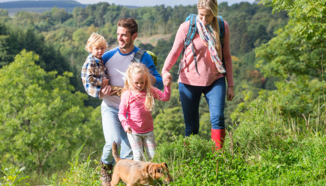 Dog-Friendly Northumberland Cottages