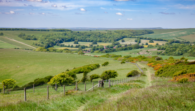 West Sussex Holiday Parks