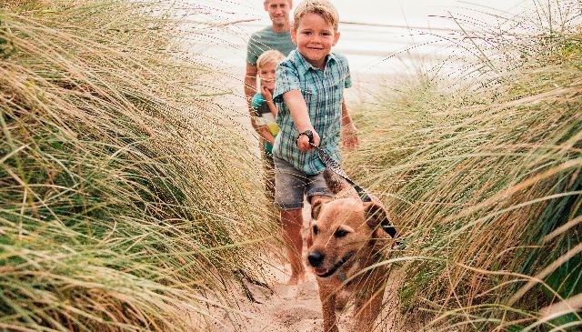 Dog-Friendly Holiday Parks 
