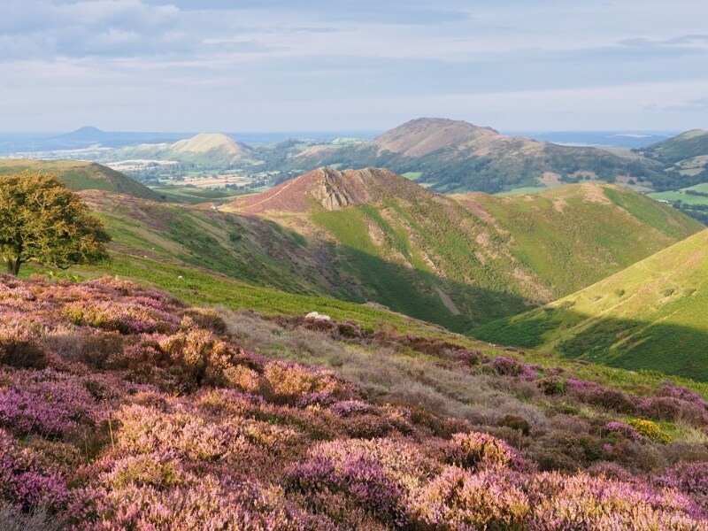 Shropshire Holiday Cottages Sykes Holiday Cottages