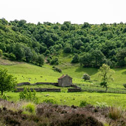 Horsehead Moor Deepdale