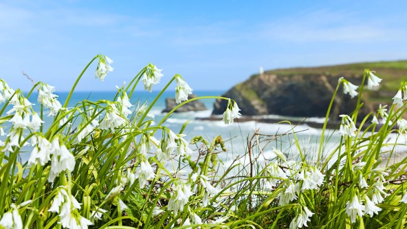 Portreath Beach