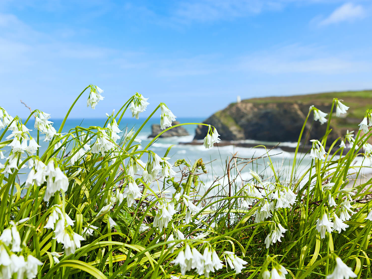 Portreath Beach