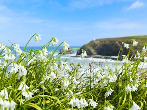 Portreath Beach