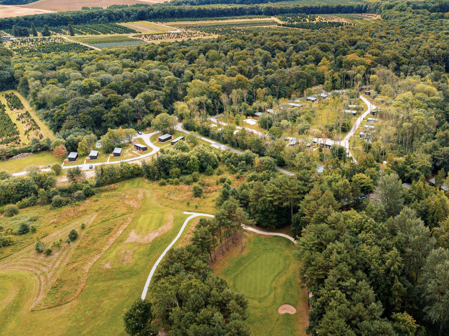 Kenwick Woods Overview