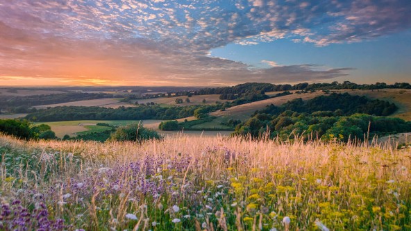 South Downs