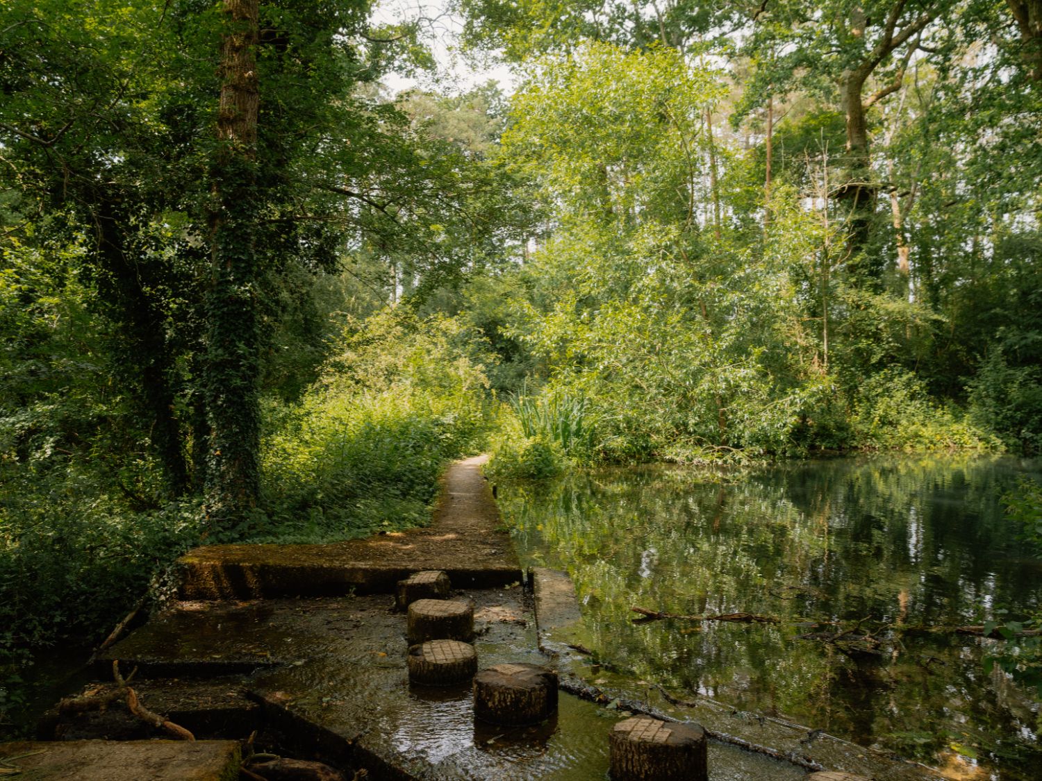 Marwell Woodland Walk