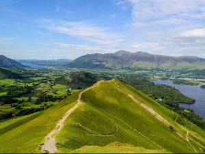 Catbells