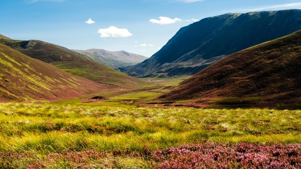 The Cairngorms
