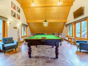 Landal Piperdam Pool Table