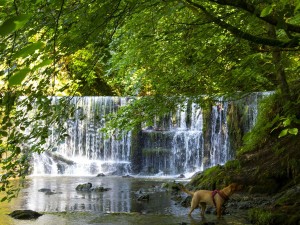 Stock Ghyll Force