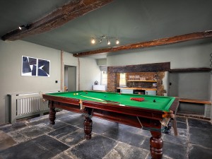 Landal Whalesborough Pool Table
