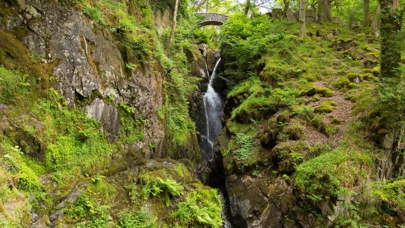 Aira Force