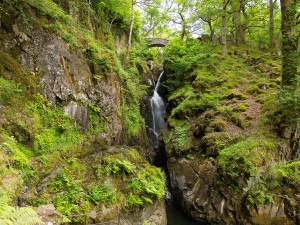 Aira Force