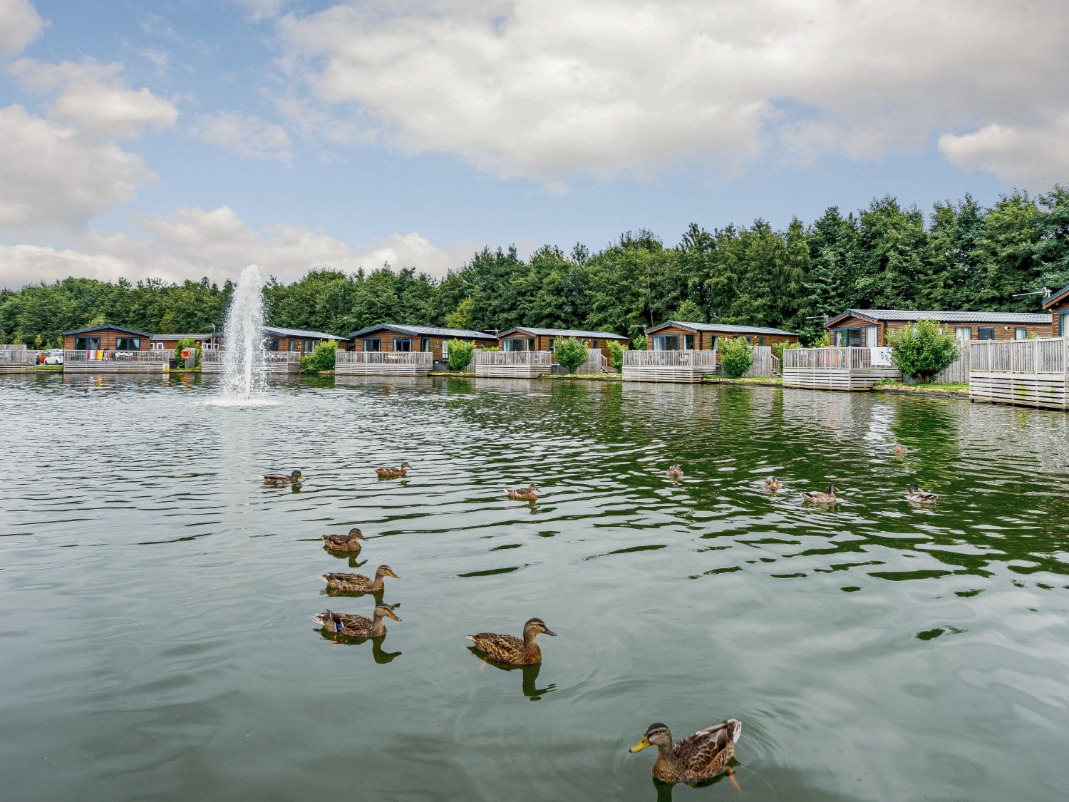 Woodland Lakes Duck Pond