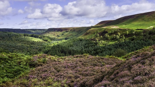 North York Moors