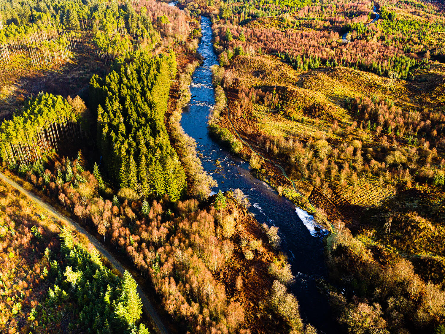 Galloway Forest Park