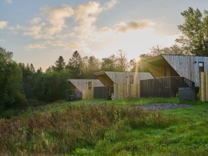Barnsoul Sunrise