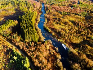Galloway Forest Park