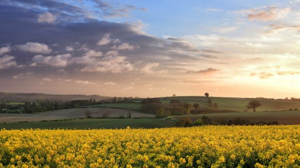 Lincolnshire countryside