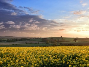 Lincolnshire countryside