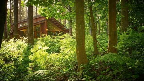 Lodge at Thorpe Forest