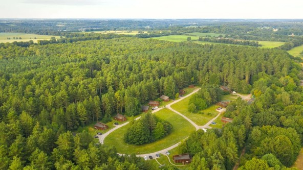 Lodges in Thorpe Forest