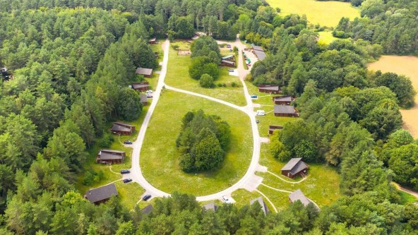 Thorpe Forest