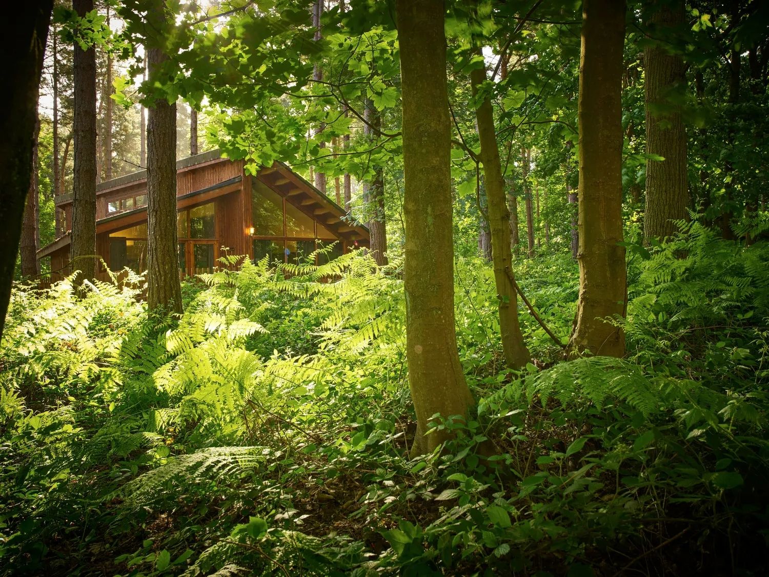 Lodge at Thorpe Forest