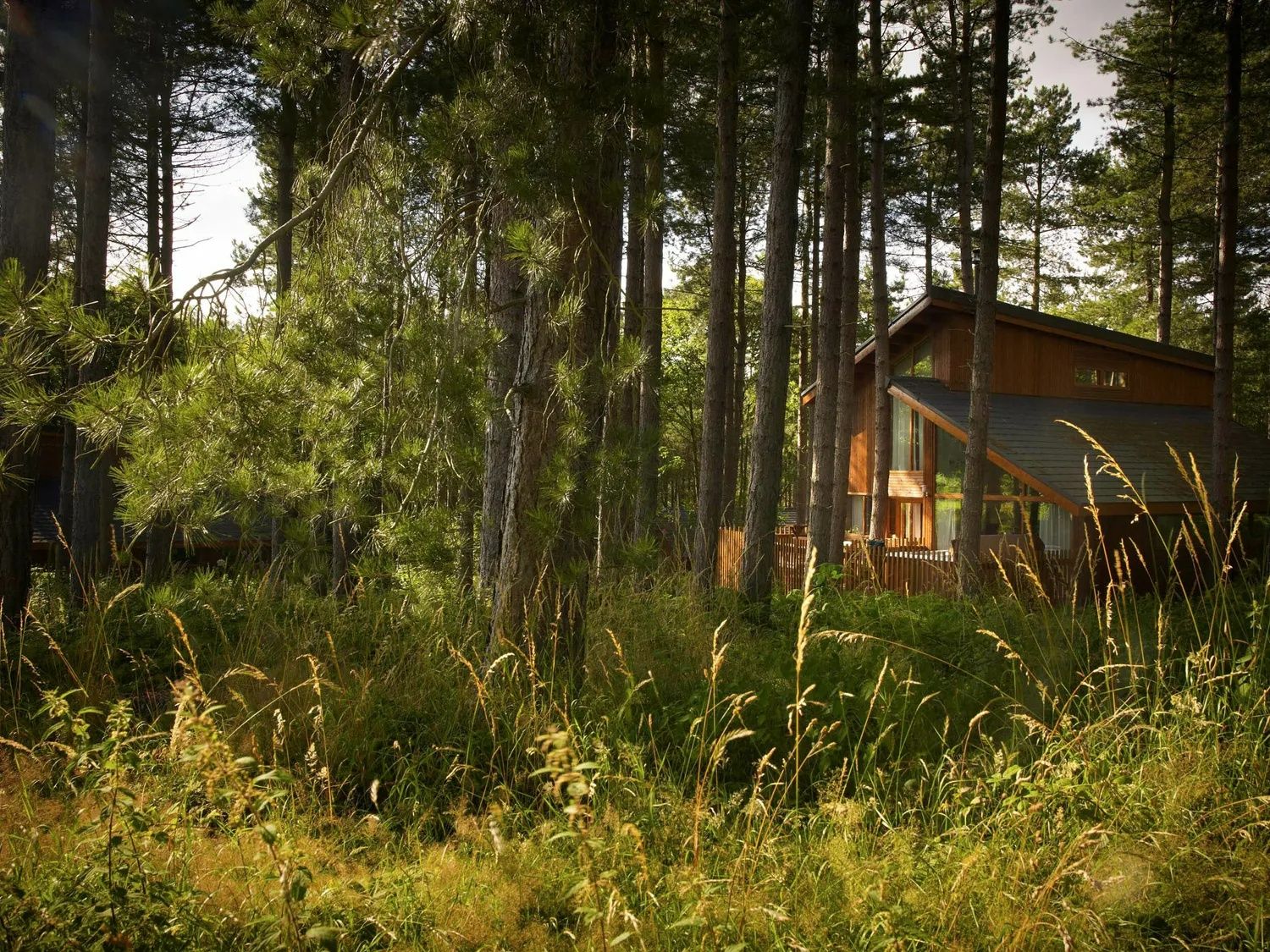 Lodge in Thorpe Forest