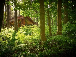 Lodge at Thorpe Forest