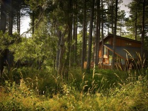 Lodge in Thorpe Forest