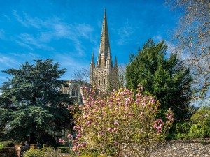 Norwich Cathedral