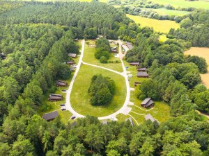 Thorpe Forest