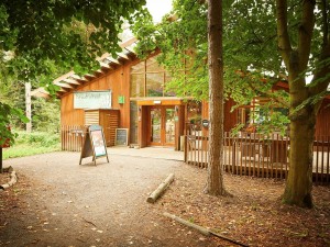 Thorpe Forest Reception